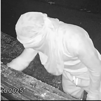 Unknown Suspect #1
