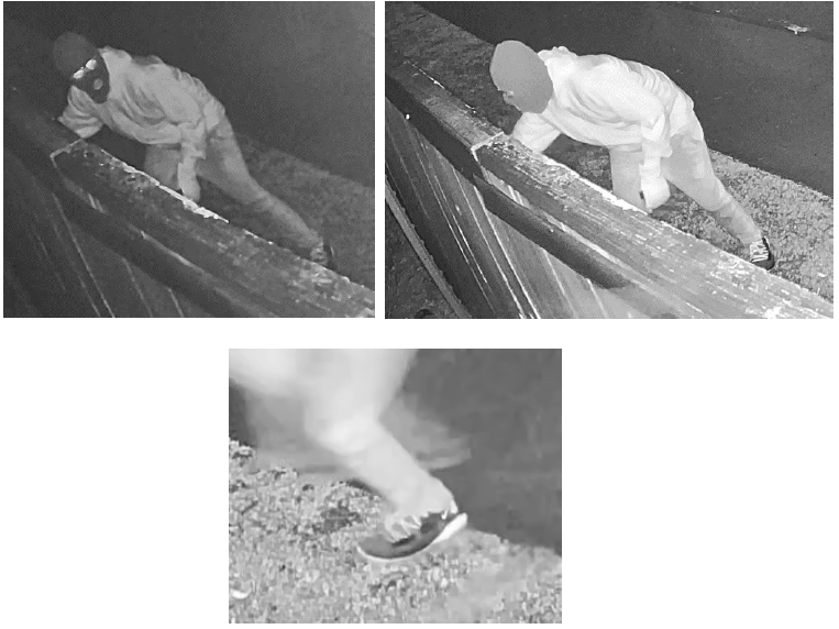Photos of Unknown Suspect #2