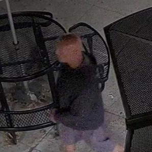 Suspect Wanted for Library Grand Theft Series